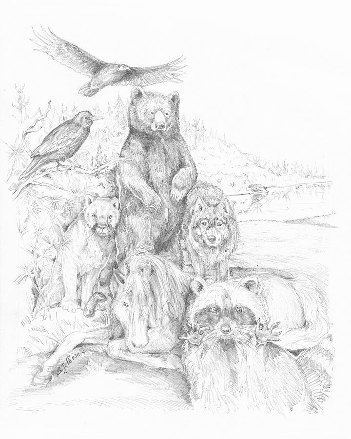 Animal Wisdom by Sheri Jo Posselt
