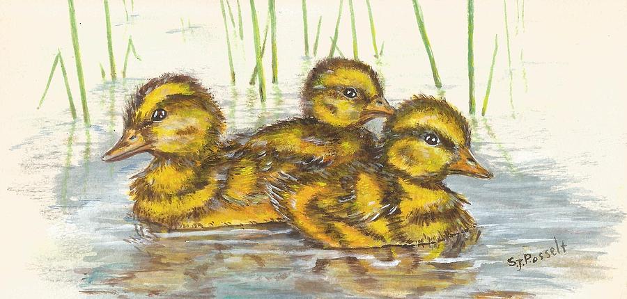 Baby Ducks for Ma by Sheri Jo Posselt