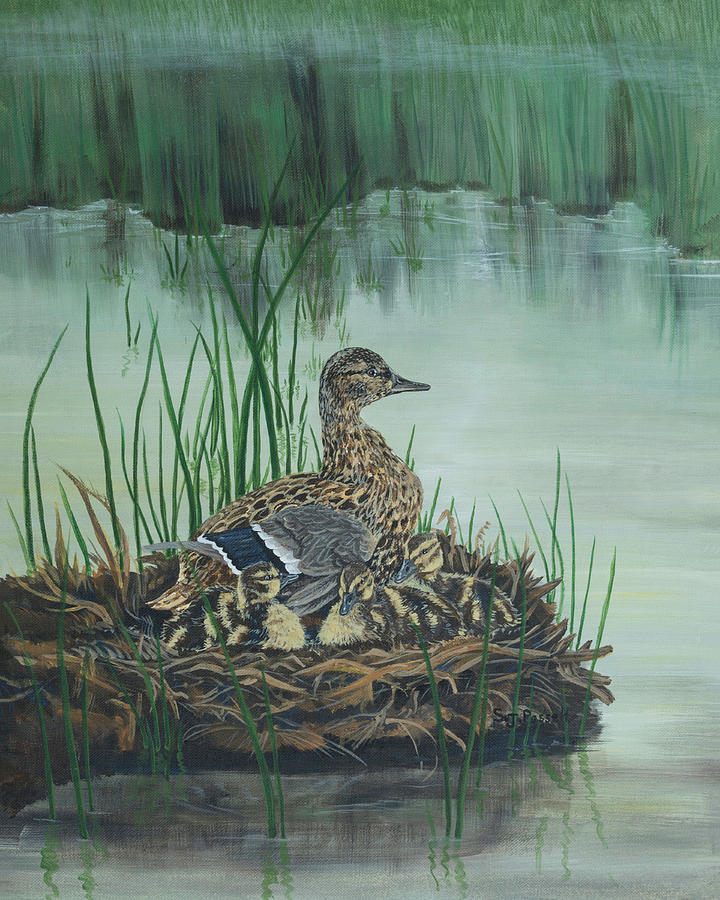 Ducks in Lifting Fog by Sheri Jo Posselt