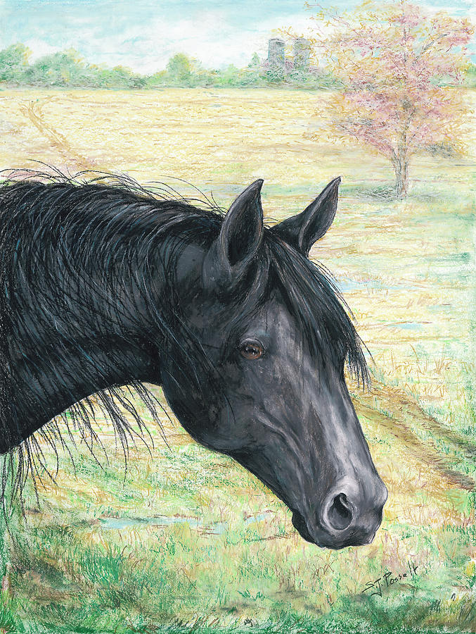Ebony by Sheri Jo Posselt