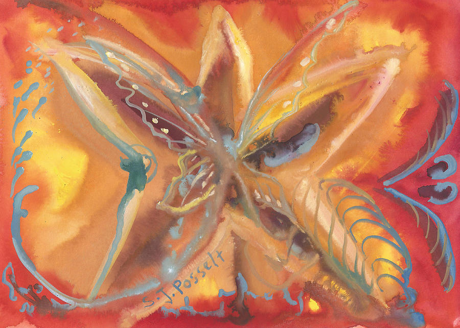 Family Star by Sheri Jo Posselt