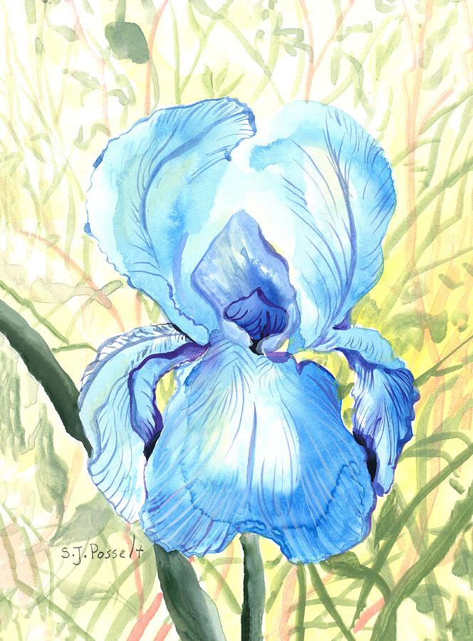 Iris of the Mist by Sheri Jo Posselt